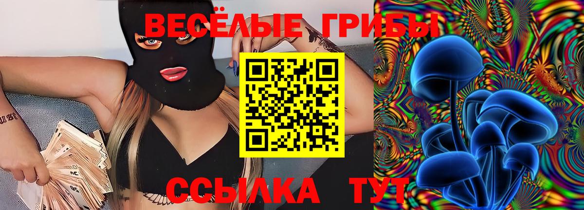 Галлюциногенные грибы прущие грибы Кингисепп